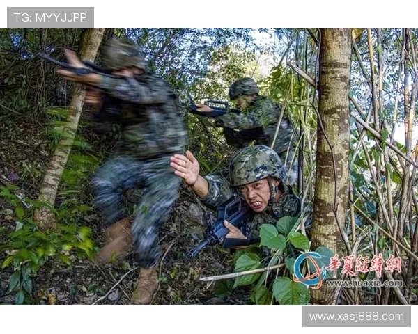 巴尔科拉是否依赖体系?战术角色与自主进攻能力分析